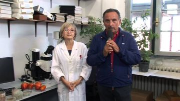 L’Ortofruttifero – SuperBio