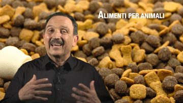 alimenti per animali