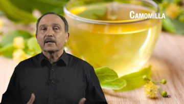 Camomilla