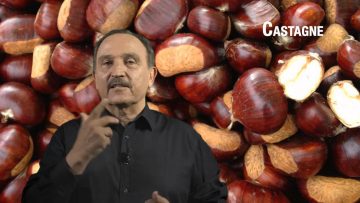Castagne