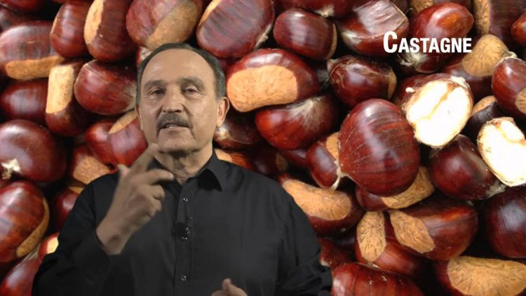 Castagne