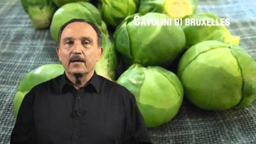 Cavolini di Bruxelles