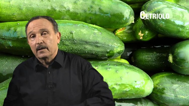 Cetriolo
