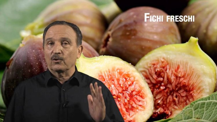 Fichi Freschi