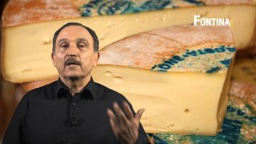 Fontina