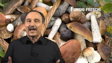 Funghi Freschi