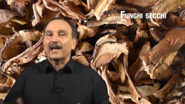 Funghi Secchi