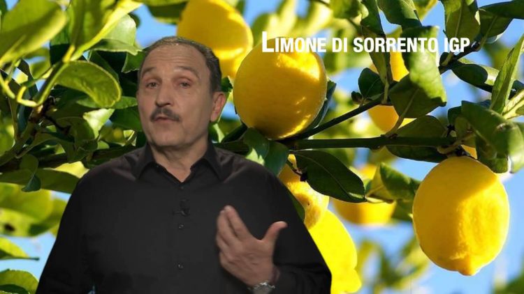 Limone Sorrento