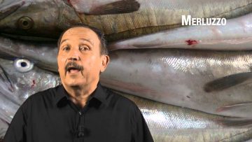 Merluzzo