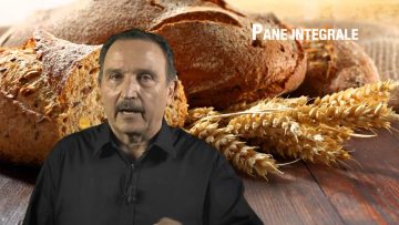 Pane Integrale