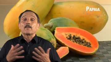 Papaia