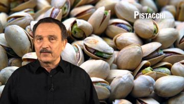 Pistacchi