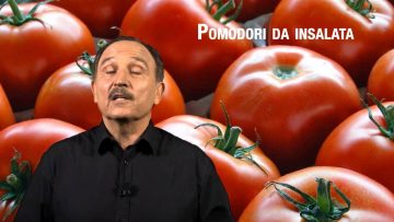 Pomodori da Insalata