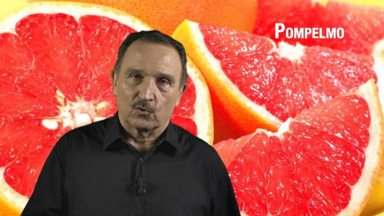 Pompelmo