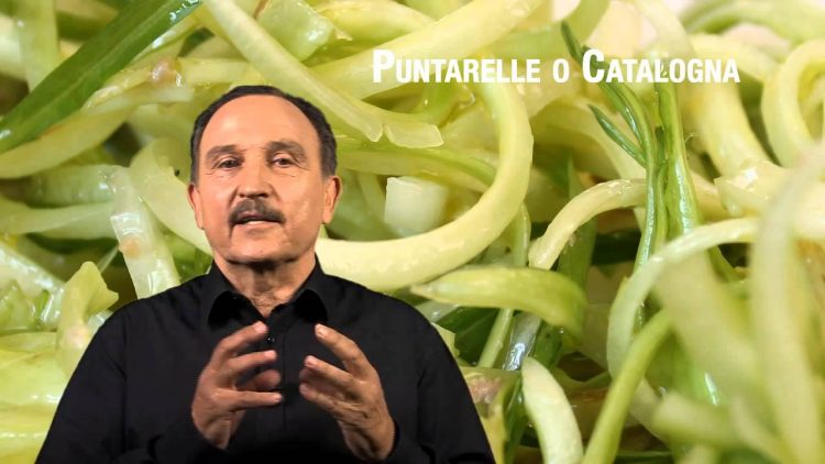 Puntarelle e Catalogna