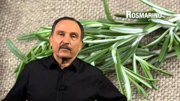 Rosmarino