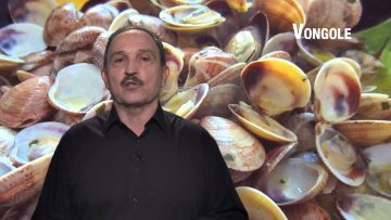 Vongole