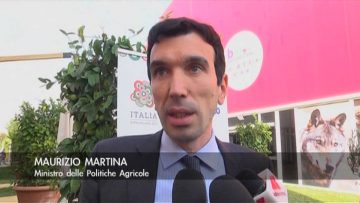 2° Puntata Guida Alla Spesa del 15/11/2015